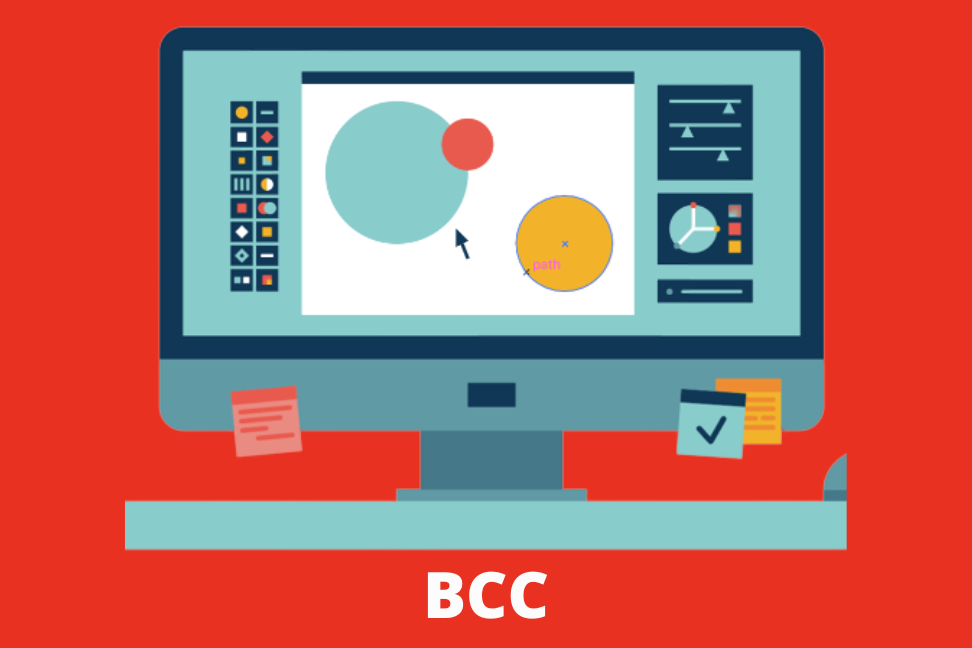 CERTIFICATE IN COMPUTER APPLICATION [IT]